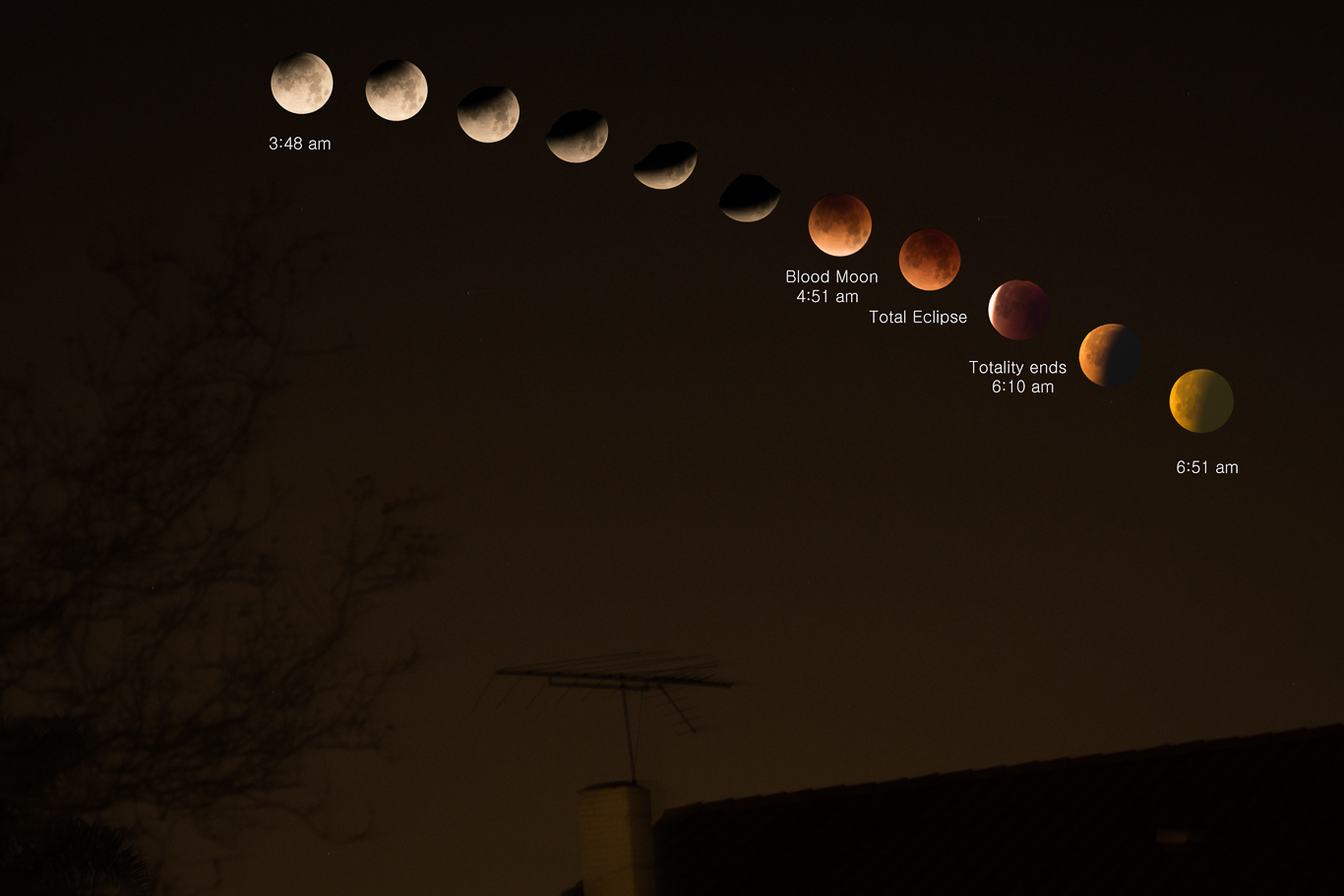 Total Lunar Eclipse-2.jpg